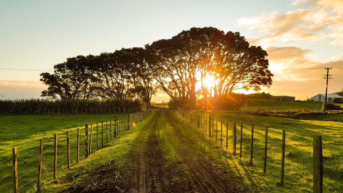 countryside-1149680_1280