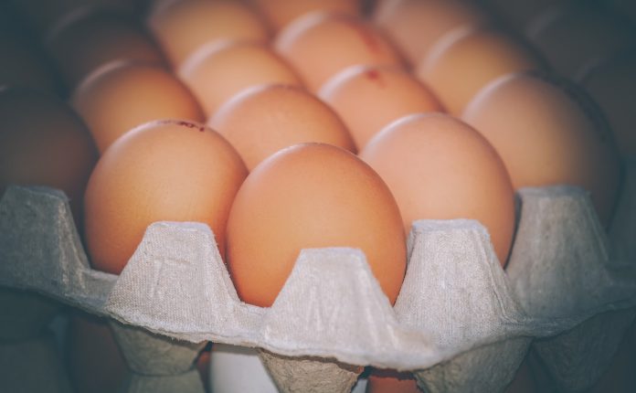 egg-4059957_1280