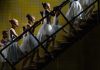 Megnyílt a World Press Photo kiállítás a Biodómban